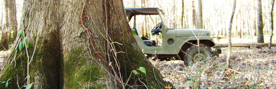 jeep