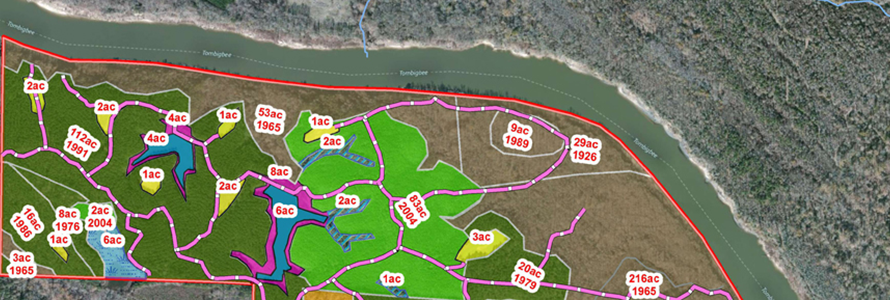 Black Bluff Stand Map jpeg